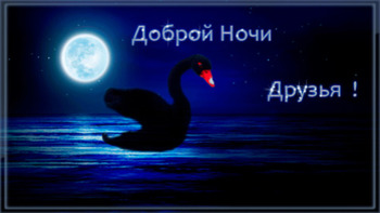 Спокойной ночи картинки с черным лебедем