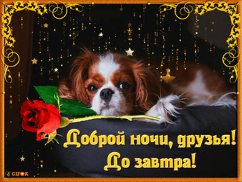 Доброй ночи друзья, до завтра - гиф открытка с собачкой