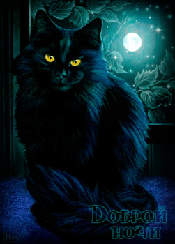 Спокойной ночи друзья открытка с черным котом