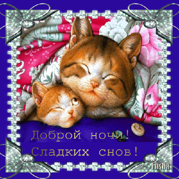Мерцающая открытка спокойной ночи и рыжими котиками