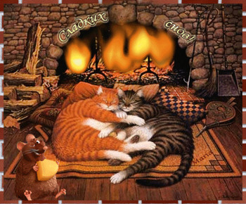 Котики желают сладких снов - gif открытки