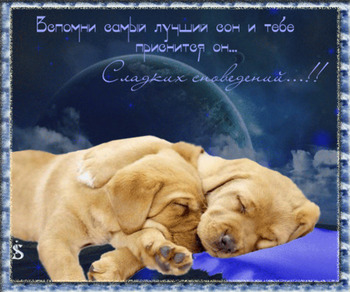пожелания спокойной ночи gif открытки с щенками