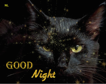 Доброй ночи анимационные гиф картинки от черного кота