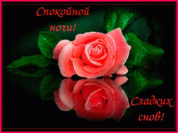 Анимированная открытка спокойной ночи с розовой розой