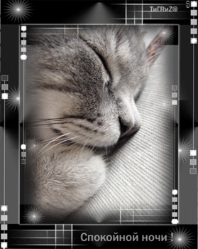 Картинки Спокойной Ночи Анимации с кошками
