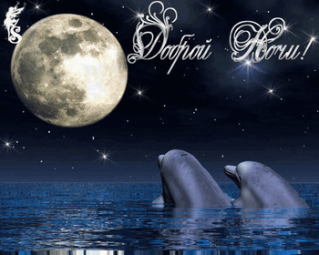 Открытки спокойной ночи анимационные с дельфинами
