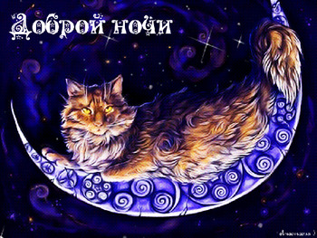Живая открытка  спокойной ночи с кошкой на луне