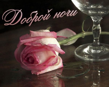 Пожелание доброй ночи с розой