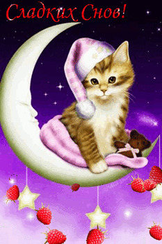 Сладких снов картинки с котиком на луне