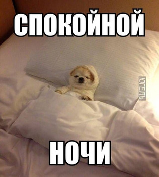 Прикольные картинки спокойной ночи с собакой в кроватке