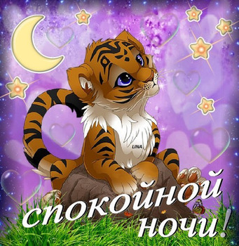 Смешные картинки пожелания спокойной ночи от тигра