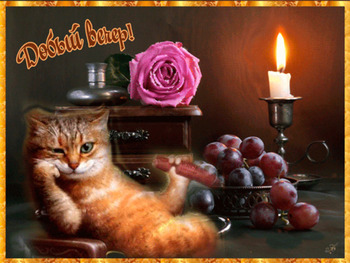 Прикольная открытка с рыжим котом и пожеланием доброго ве...