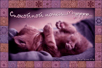 Gif открытка с котенком доброй ночи